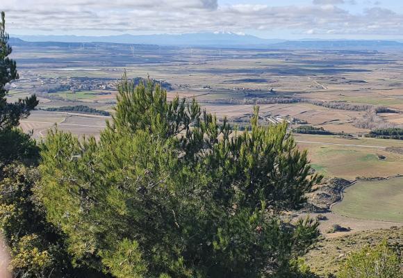 Whatsapp Image 2021 12 12 At 2.11.21 Pm 2