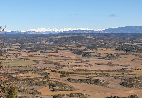 Whatsapp Image 2021 12 12 At 2.11.21 Pm 3